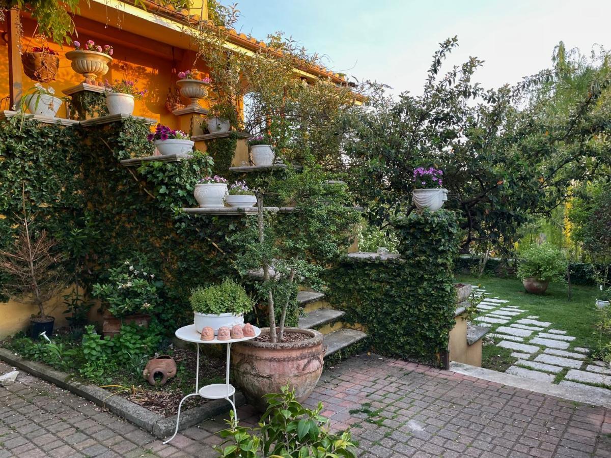 Home Sweet Home Gallicano nel Lazio Exterior photo